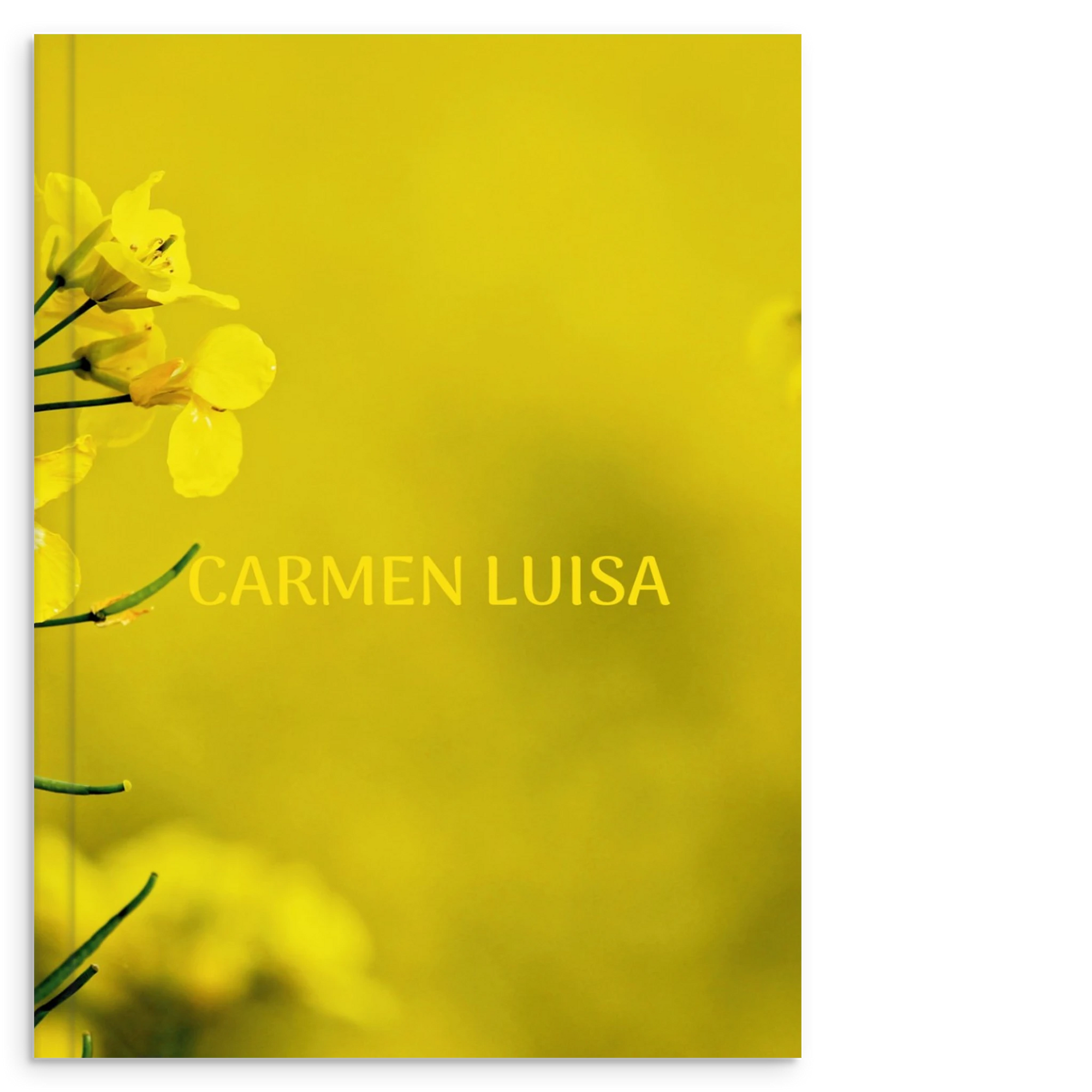 1570aac5-417a-4a35-8516-567f2578b478