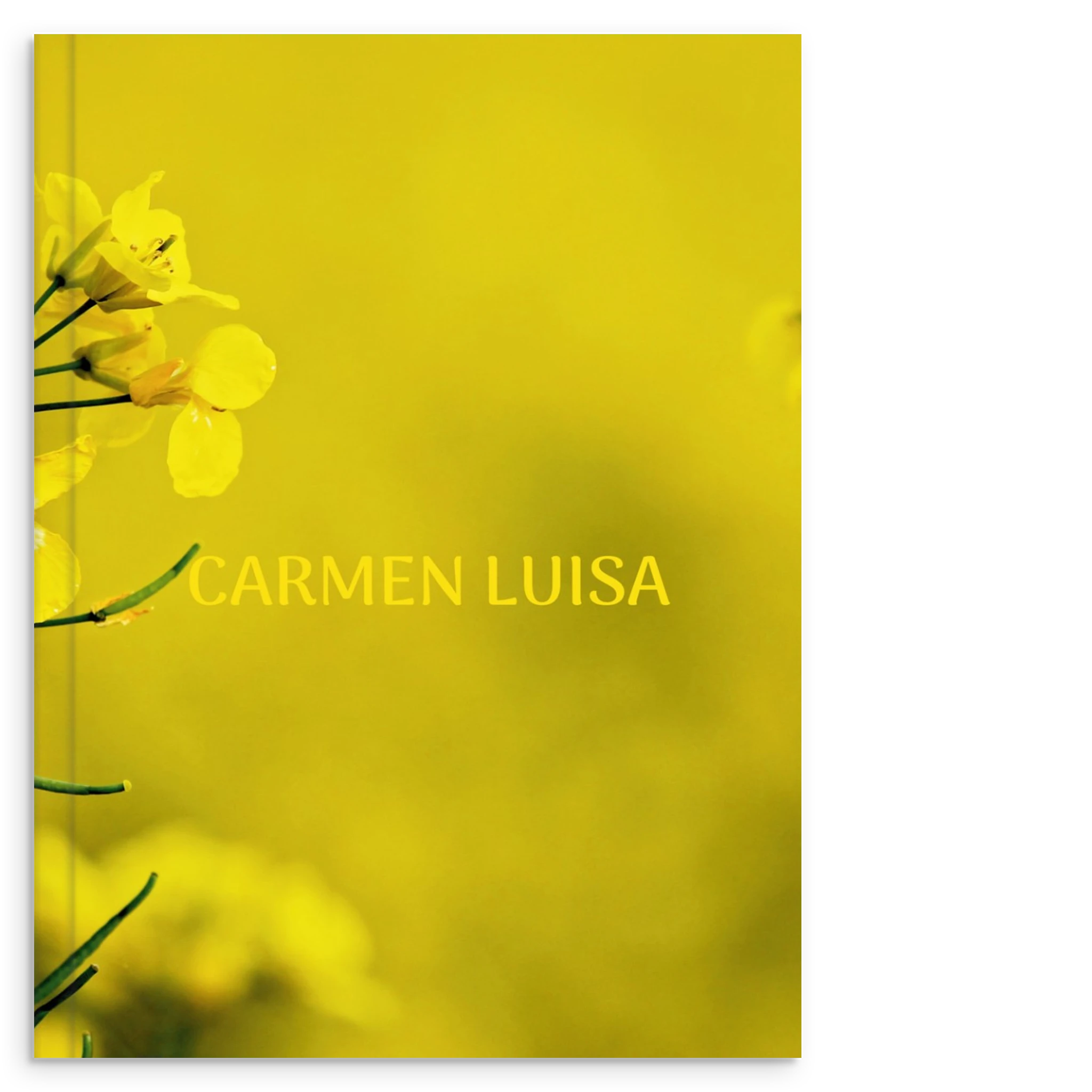 1570aac5-417a-4a35-8516-567f2578b478